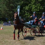 III Mistrzostwa Kaszub W Powożeniu Zaprzęgami Konnymi