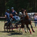 III Mistrzostwa Kaszub W Powożeniu Zaprzęgami Konnymi