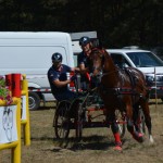 III Mistrzostwa Kaszub W Powożeniu Zaprzęgami Konnymi