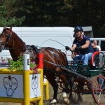 III Mistrzostwa Kaszub W Powożeniu Zaprzęgami Konnymi