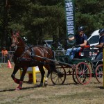 III Mistrzostwa Kaszub W Powożeniu Zaprzęgami Konnymi