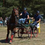 III Mistrzostwa Kaszub W Powożeniu Zaprzęgami Konnymi