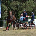 III Mistrzostwa Kaszub W Powożeniu Zaprzęgami Konnymi