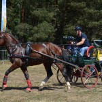 III Mistrzostwa Kaszub W Powożeniu Zaprzęgami Konnymi