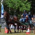 III Mistrzostwa Kaszub W Powożeniu Zaprzęgami Konnymi