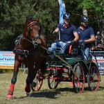 III Mistrzostwa Kaszub W Powożeniu Zaprzęgami Konnymi