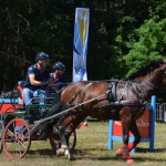 III Mistrzostwa Kaszub W Powożeniu Zaprzęgami Konnymi
