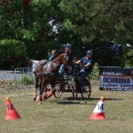 III Mistrzostwa Kaszub W Powożeniu Zaprzęgami Konnymi