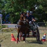 III Mistrzostwa Kaszub W Powożeniu Zaprzęgami Konnymi