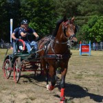 III Mistrzostwa Kaszub W Powożeniu Zaprzęgami Konnymi