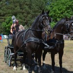 III Mistrzostwa Kaszub W Powożeniu Zaprzęgami Konnymi