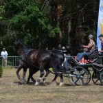 III Mistrzostwa Kaszub W Powożeniu Zaprzęgami Konnymi