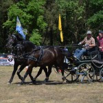 III Mistrzostwa Kaszub W Powożeniu Zaprzęgami Konnymi