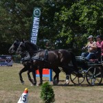 III Mistrzostwa Kaszub W Powożeniu Zaprzęgami Konnymi