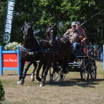III Mistrzostwa Kaszub W Powożeniu Zaprzęgami Konnymi