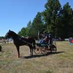 III Mistrzostwa Kaszub W Powożeniu Zaprzęgami Konnymi