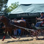 III Mistrzostwa Kaszub W Powożeniu Zaprzęgami Konnymi