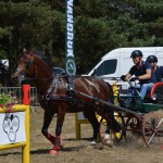 III Mistrzostwa Kaszub W Powożeniu Zaprzęgami Konnymi