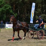 III Mistrzostwa Kaszub W Powożeniu Zaprzęgami Konnymi