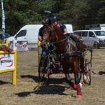 III Mistrzostwa Kaszub W Powożeniu Zaprzęgami Konnymi