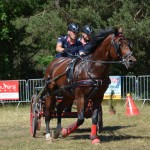 III Mistrzostwa Kaszub W Powożeniu Zaprzęgami Konnymi