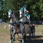 III Mistrzostwa Kaszub W Powożeniu Zaprzęgami Konnymi