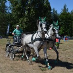 III Mistrzostwa Kaszub W Powożeniu Zaprzęgami Konnymi