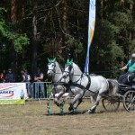 III Mistrzostwa Kaszub W Powożeniu Zaprzęgami Konnymi
