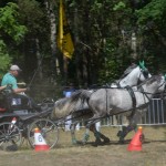 III Mistrzostwa Kaszub W Powożeniu Zaprzęgami Konnymi