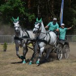 III Mistrzostwa Kaszub W Powożeniu Zaprzęgami Konnymi