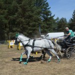 III Mistrzostwa Kaszub W Powożeniu Zaprzęgami Konnymi
