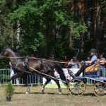 III Mistrzostwa Kaszub W Powożeniu Zaprzęgami Konnymi