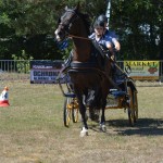 III Mistrzostwa Kaszub W Powożeniu Zaprzęgami Konnymi