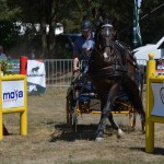 III Mistrzostwa Kaszub W Powożeniu Zaprzęgami Konnymi