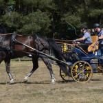 III Mistrzostwa Kaszub W Powożeniu Zaprzęgami Konnymi