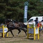 III Mistrzostwa Kaszub W Powożeniu Zaprzęgami Konnymi