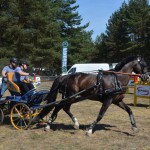 III Mistrzostwa Kaszub W Powożeniu Zaprzęgami Konnymi