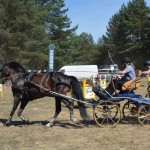 III Mistrzostwa Kaszub W Powożeniu Zaprzęgami Konnymi
