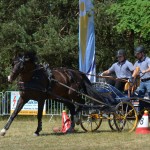 III Mistrzostwa Kaszub W Powożeniu Zaprzęgami Konnymi