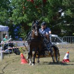 III Mistrzostwa Kaszub W Powożeniu Zaprzęgami Konnymi