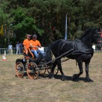 III Mistrzostwa Kaszub W Powożeniu Zaprzęgami Konnymi