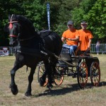 III Mistrzostwa Kaszub W Powożeniu Zaprzęgami Konnymi