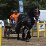 III Mistrzostwa Kaszub W Powożeniu Zaprzęgami Konnymi