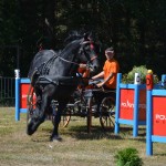 III Mistrzostwa Kaszub W Powożeniu Zaprzęgami Konnymi