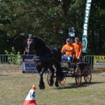 III Mistrzostwa Kaszub W Powożeniu Zaprzęgami Konnymi