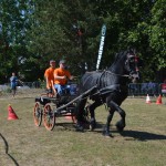 III Mistrzostwa Kaszub W Powożeniu Zaprzęgami Konnymi