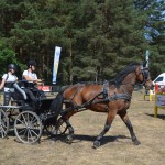 III Mistrzostwa Kaszub W Powożeniu Zaprzęgami Konnymi