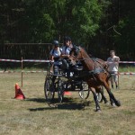 III Mistrzostwa Kaszub W Powożeniu Zaprzęgami Konnymi