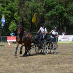 III Mistrzostwa Kaszub W Powożeniu Zaprzęgami Konnymi