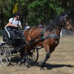 III Mistrzostwa Kaszub W Powożeniu Zaprzęgami Konnymi